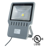 LED Flood Light